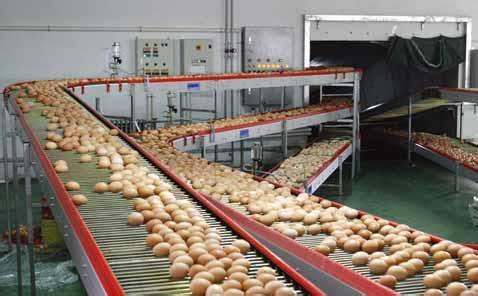 高壓清洗機,進(jìn)口高壓清洗機,高壓清洗機價格,超高壓清洗機
